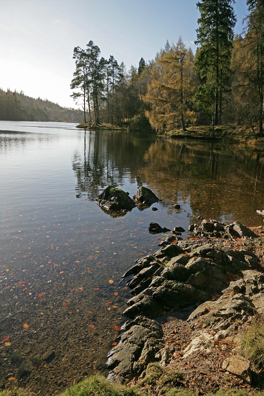 Lake View