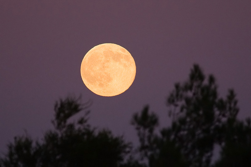 Hunters Moon