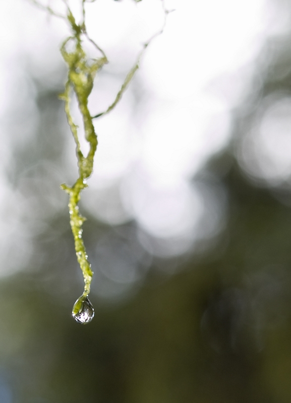 Raindrop