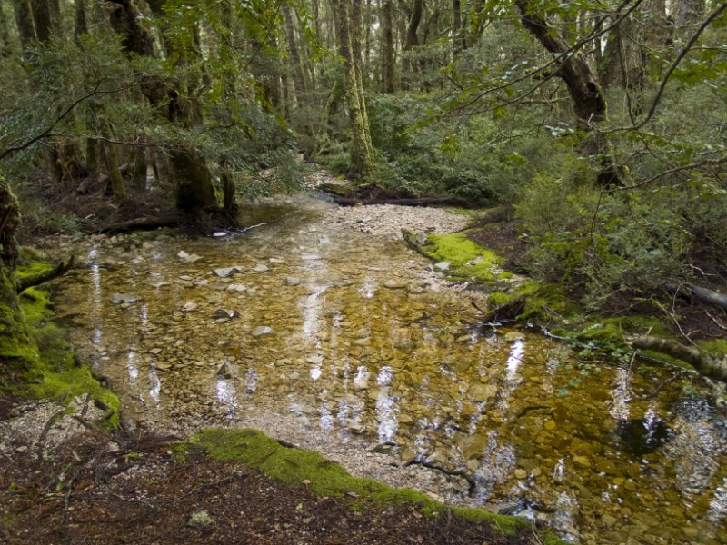 Tranqil Waters