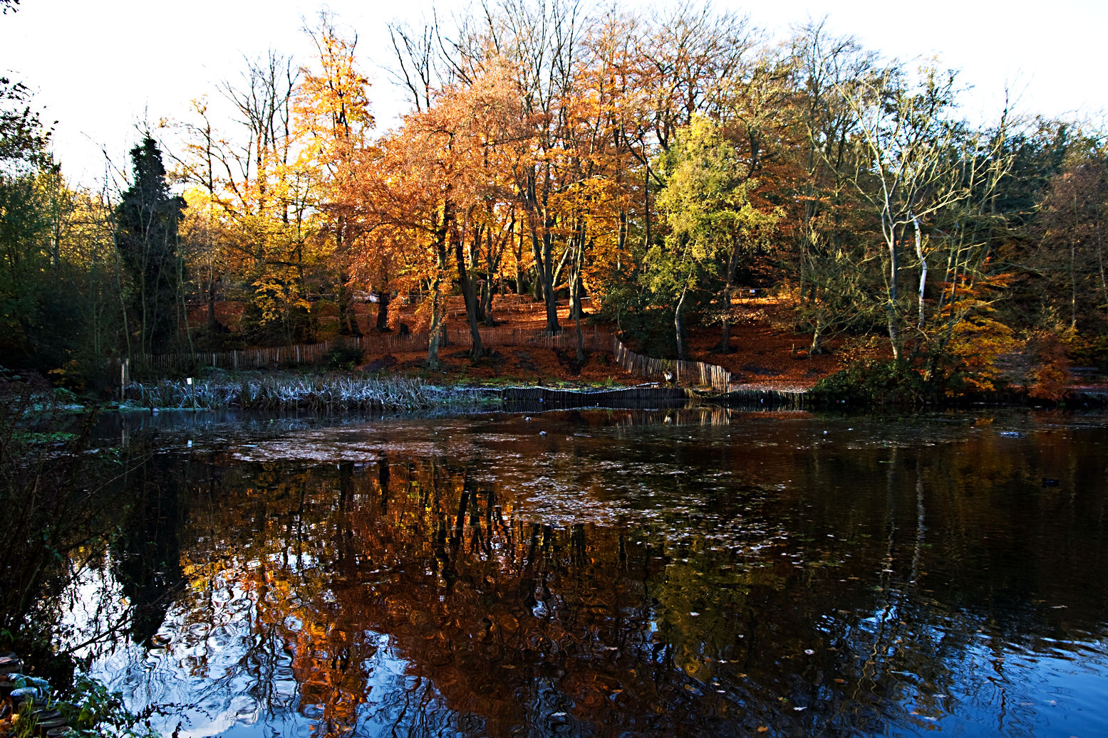 Autumnal reflections