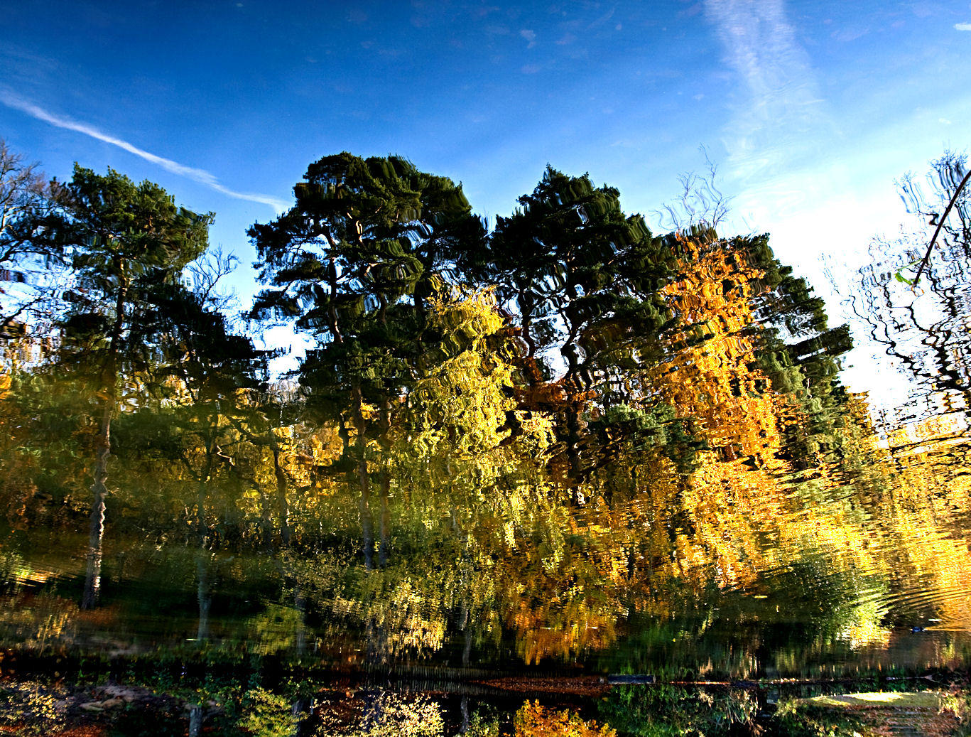 18 November - Reflected
