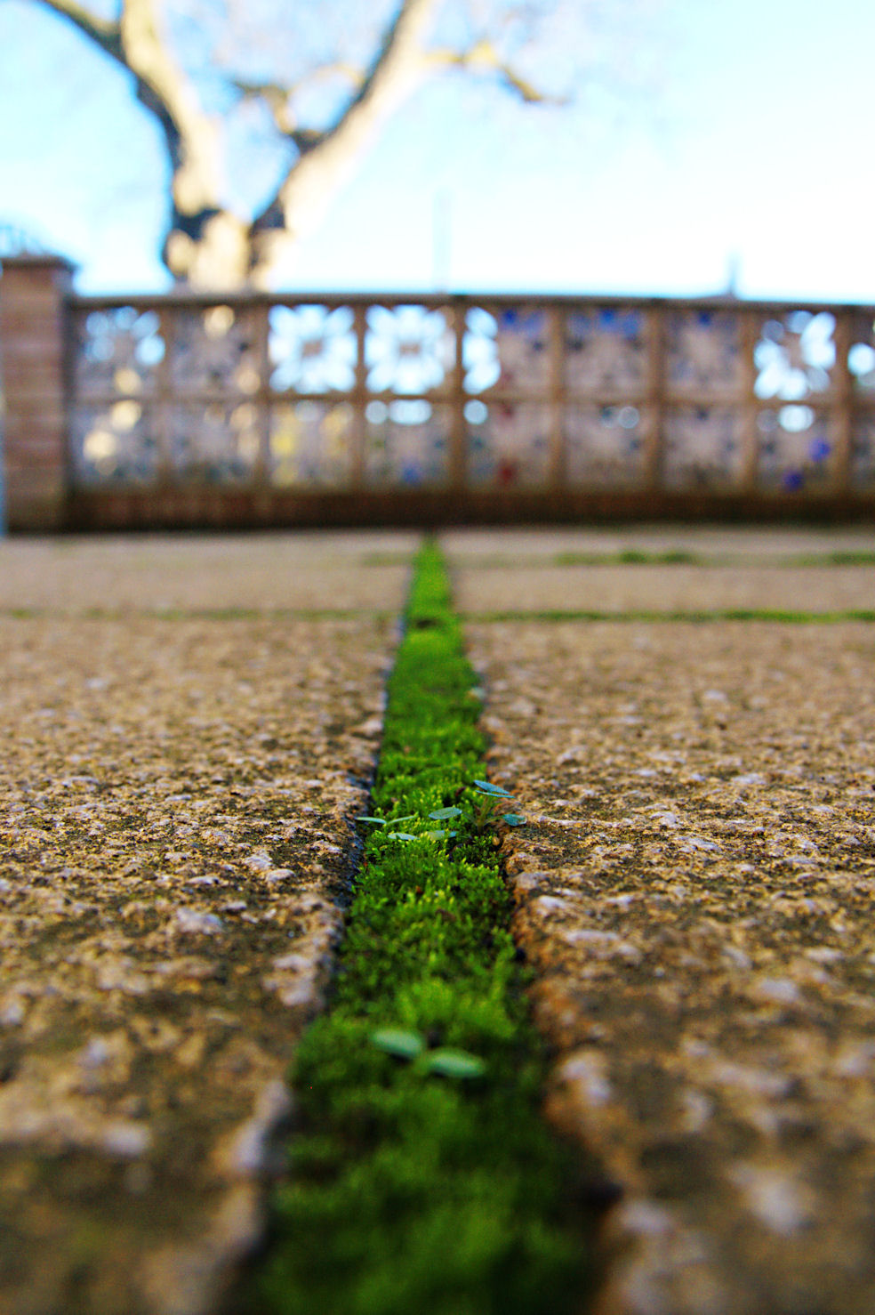 22 November - TITC: Straight as you can get