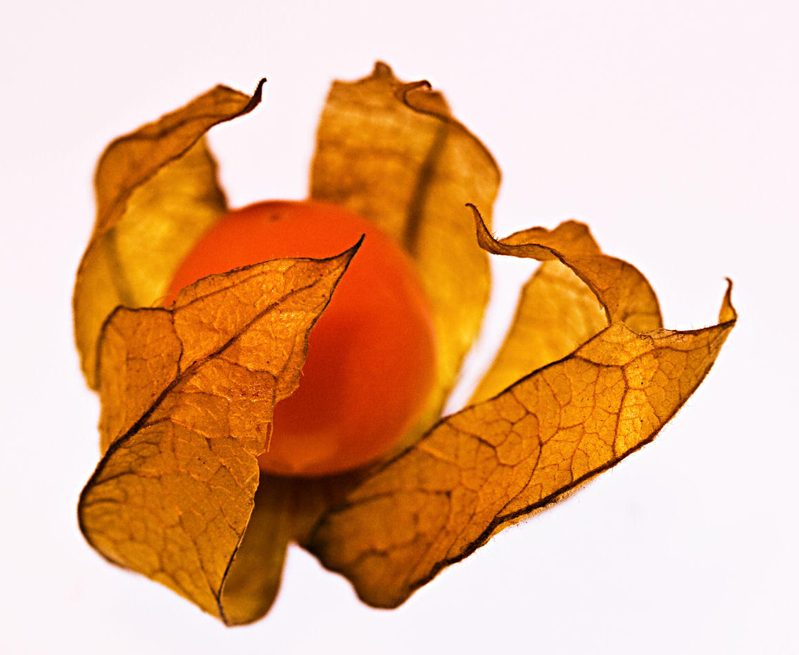 29 November - TITC: Fruit & vegetables