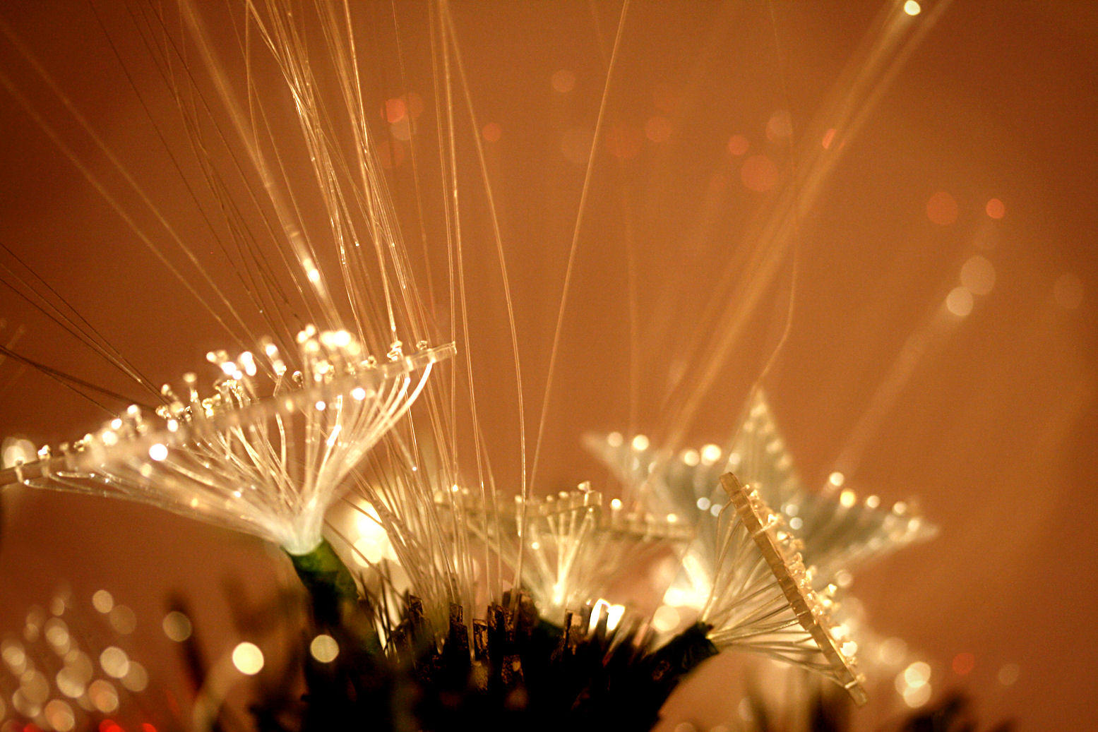 16 December - Sparkle snap