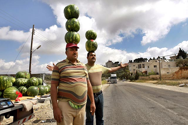 Melon-Belly.jpg