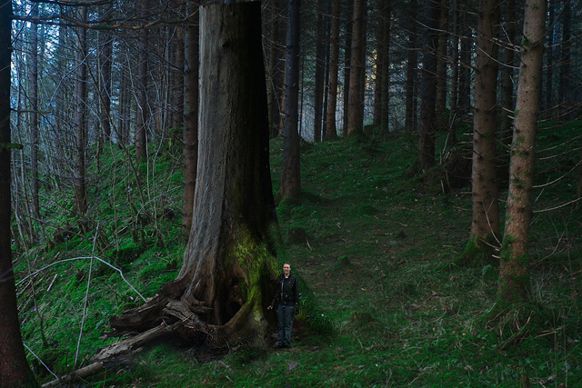 Forest-Deep.jpg