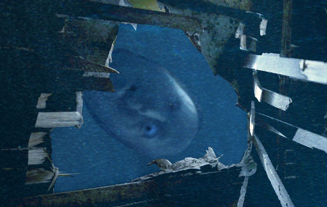 Peekaboo.jpg