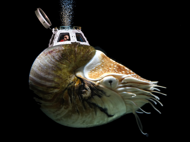 Nautilus probe.jpg
