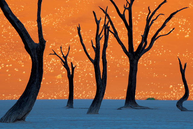 Namibias-Dead-Vlei-O.jpg