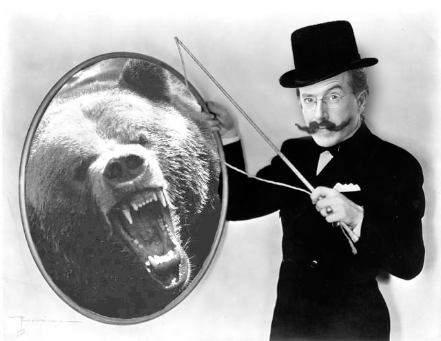 Colbert-Bear.jpg