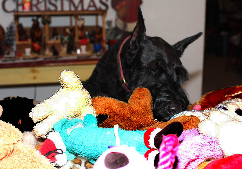 Counting her stash!