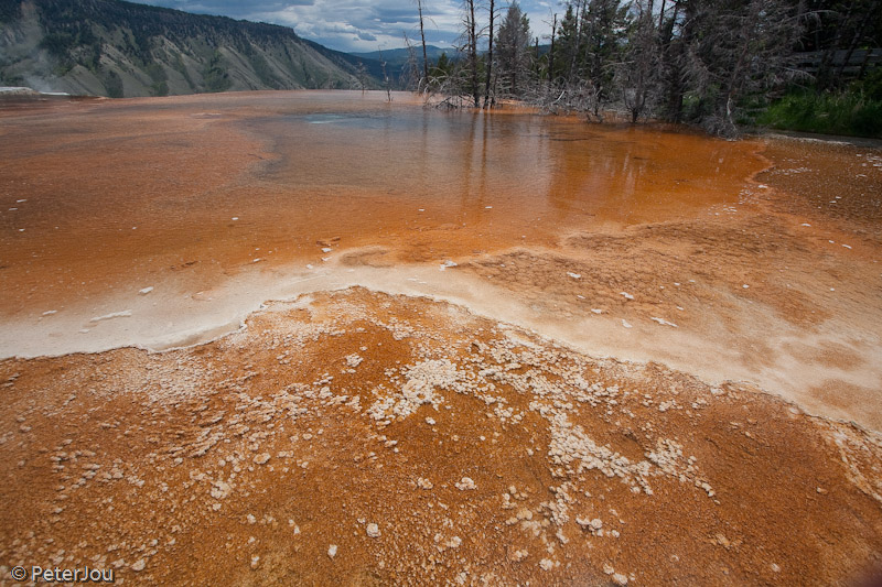 YellowStone