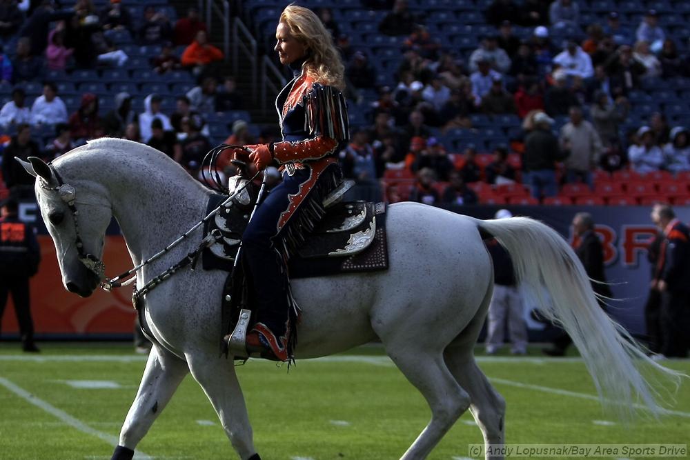 Denver Broncos horse mascot