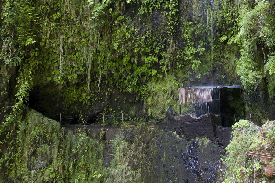 Levada Ribeira da Janela