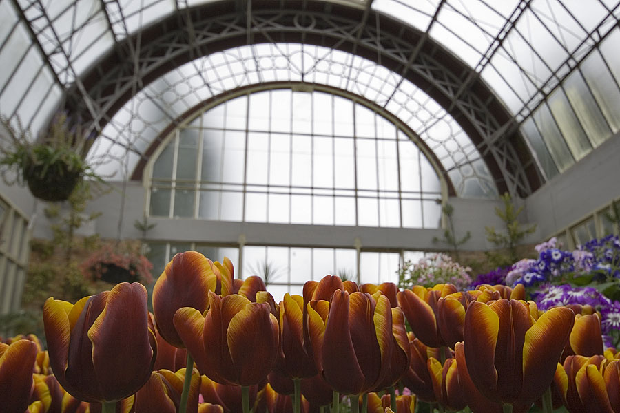 Wintergarden, Auckland