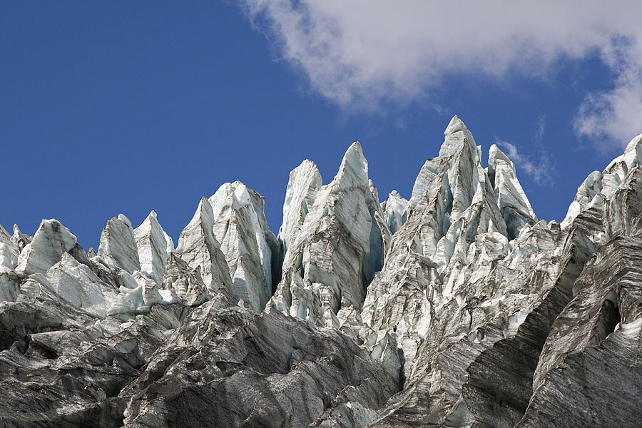 Fox Glacier Details, Westland National Park
