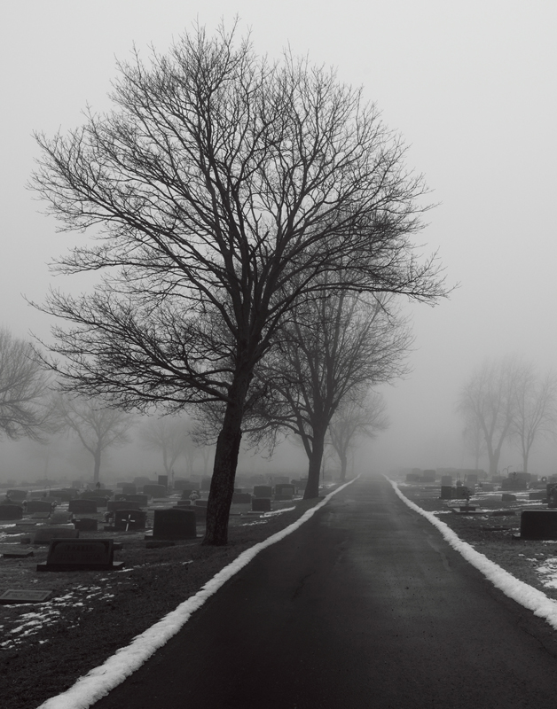 Cemetery in the fog