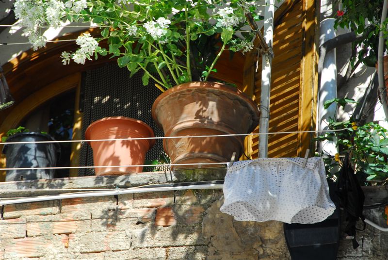 Flower and underwear in Positano.JPG