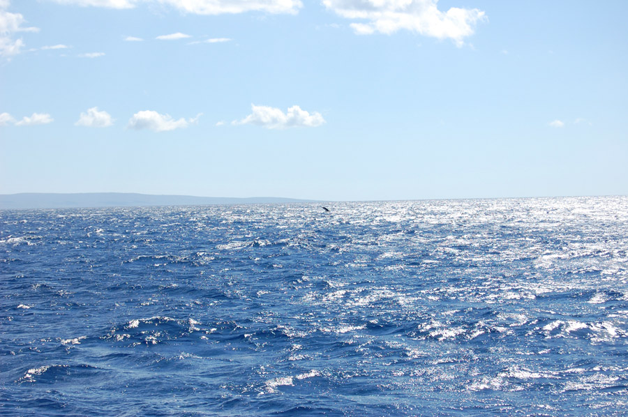 DSC_1039.JPG