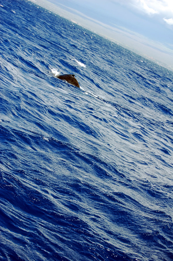 DSC_1051.JPG