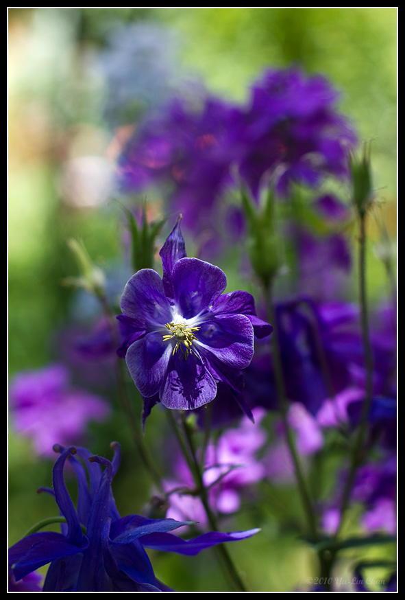 web_IMG_8681.jpg