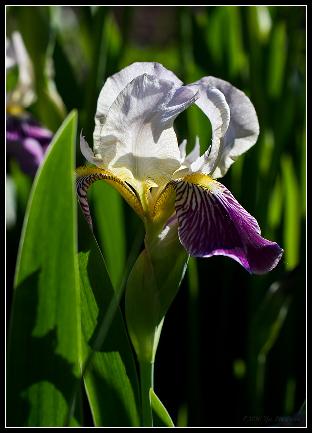 web_IMG_8782.jpg