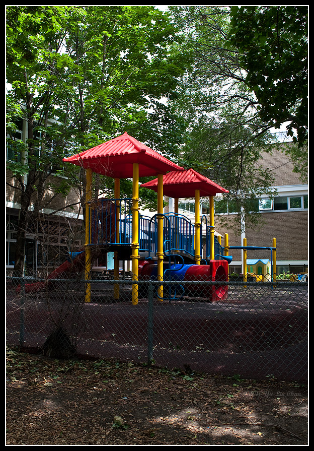 web_YLC02965.jpg