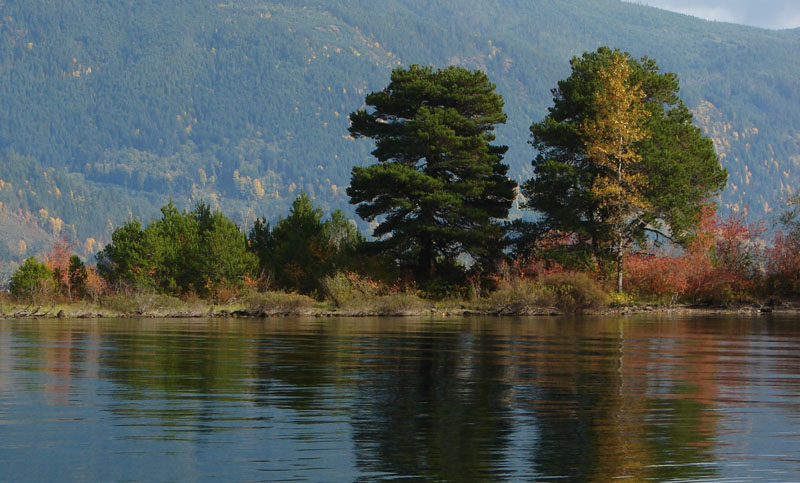 Island in the lake