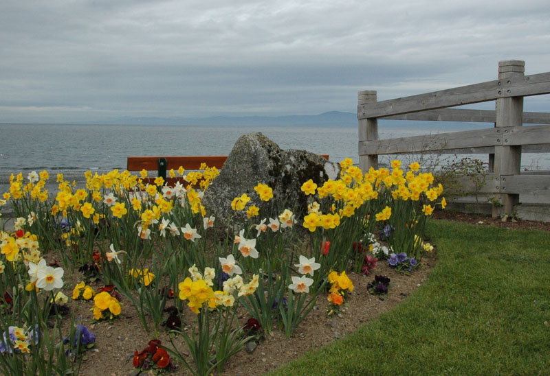 Beach Memorial