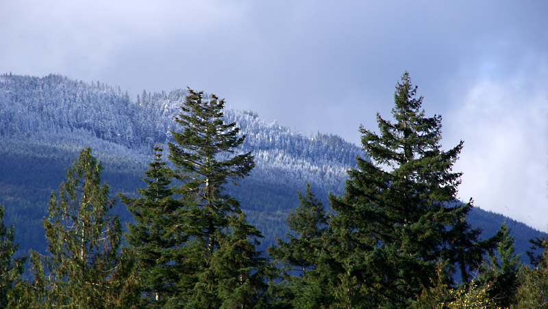 First Snow - Mount Brenton - Chemainus
