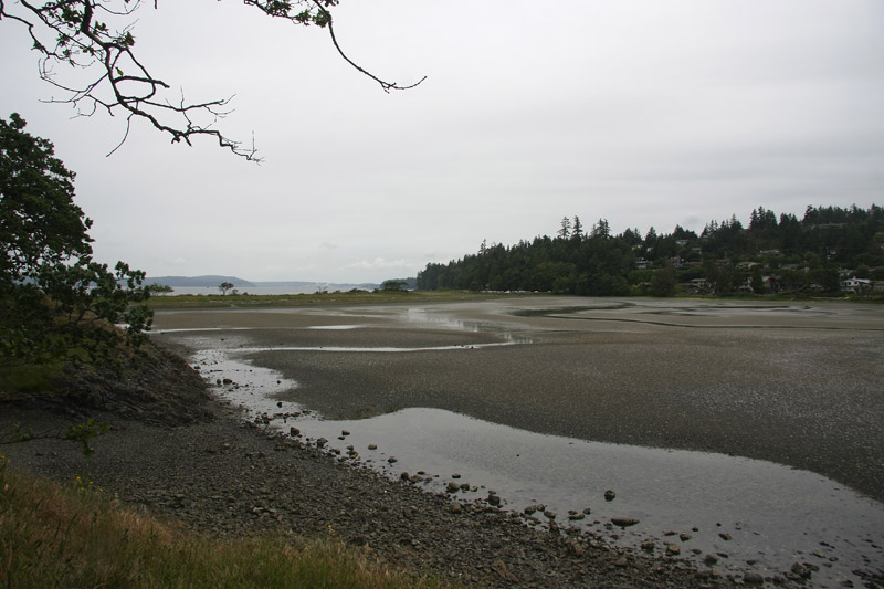 Piper's Lagoon looking South