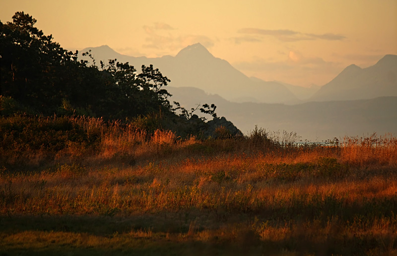 Evening Sun