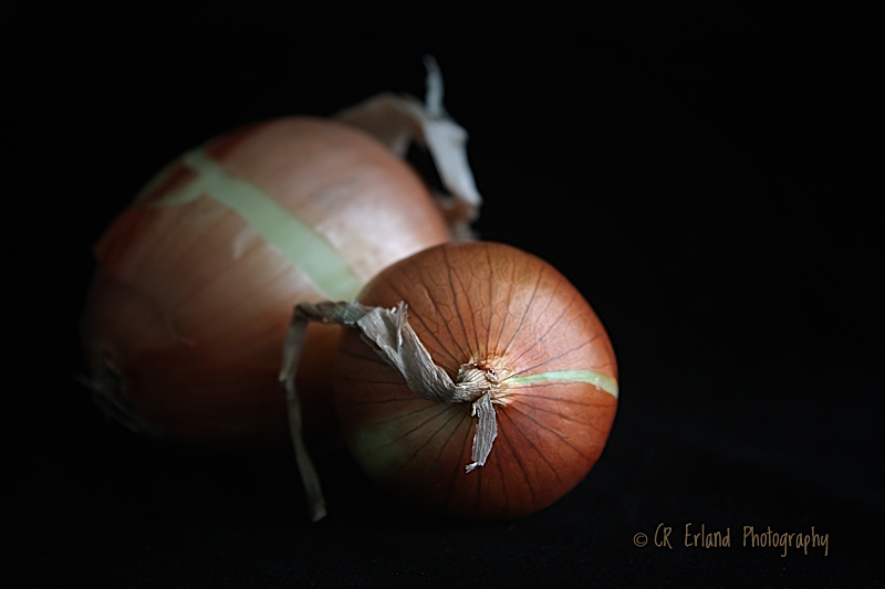Onion #3 - RE