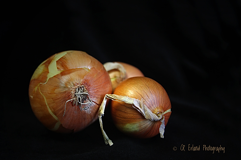 Onion #5 - RE