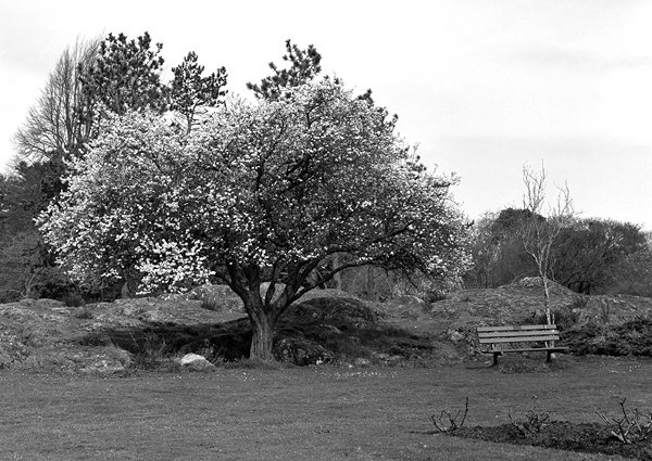 Peaceful Seating