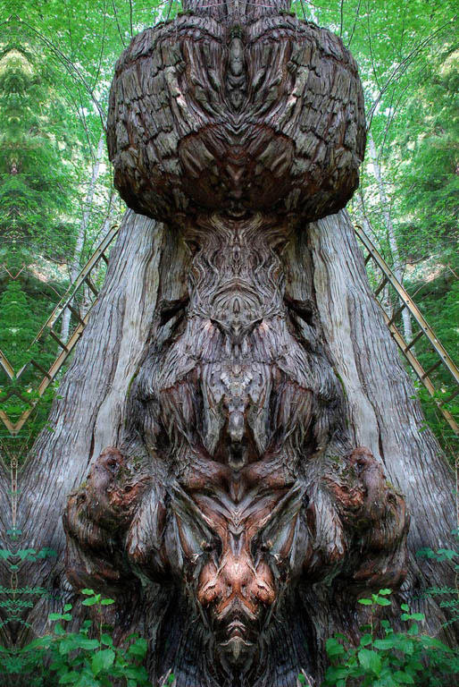 The Creature Emerges - Pam DobbsCAPA 2010 Theme CompetitionAltered Reality: 20 points 