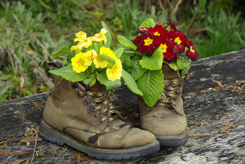 Flowery Boots