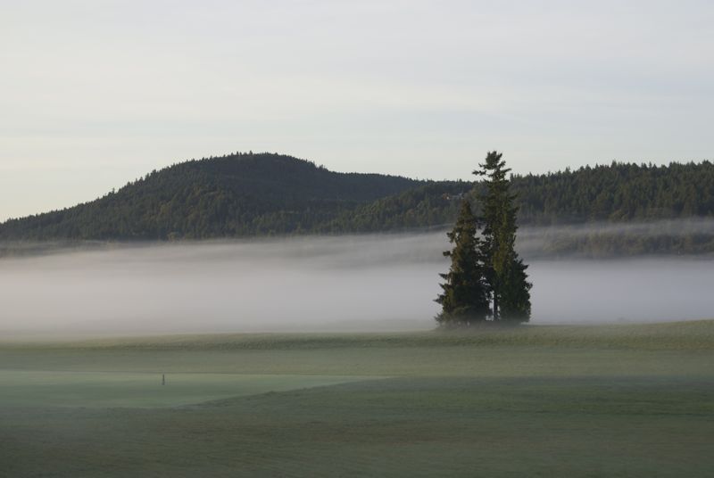 Early Morning Fog.jpg