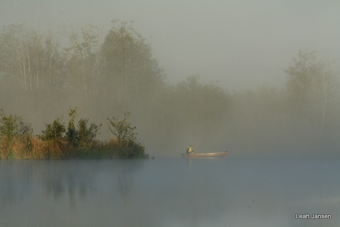 Fog Fishing