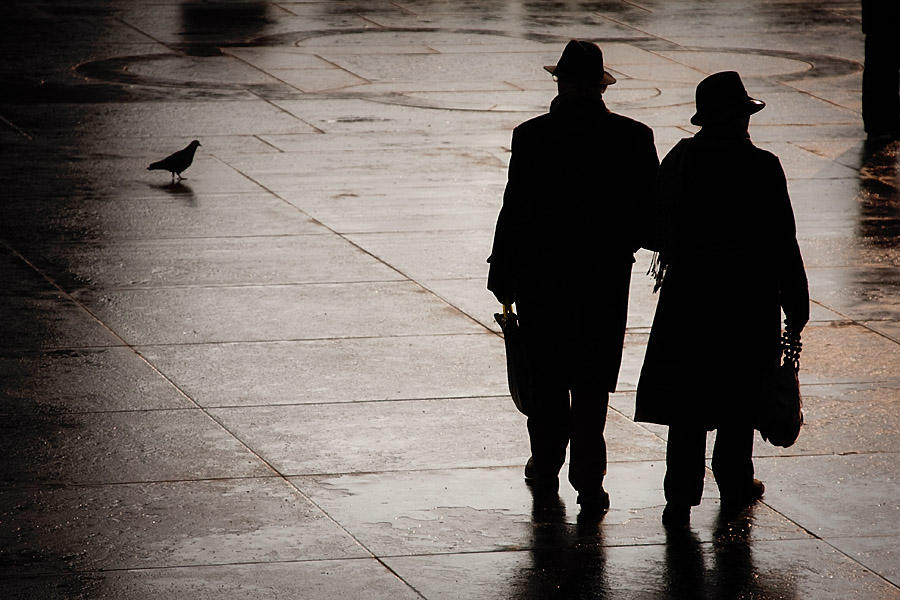 Shadowplay 1