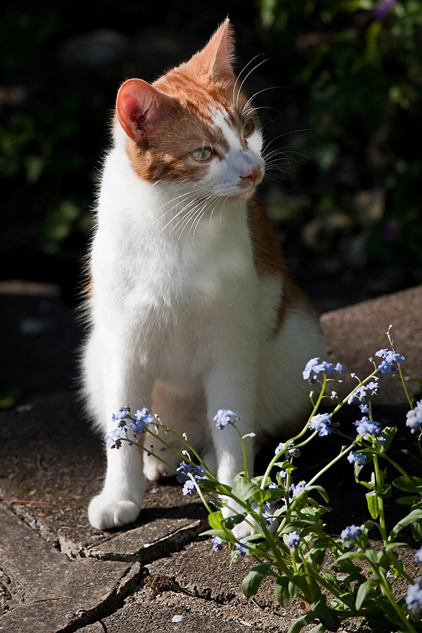 Curious