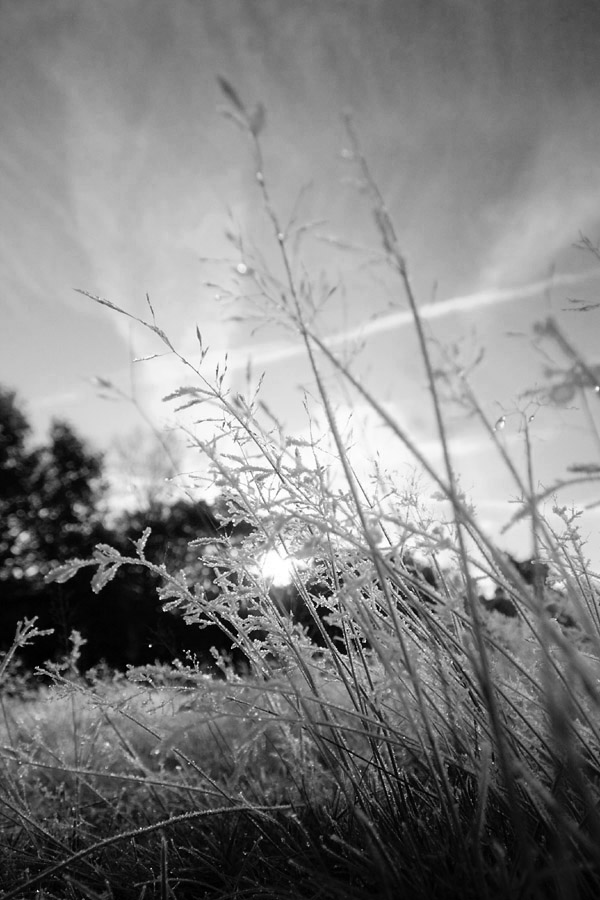 Sun and ice 2