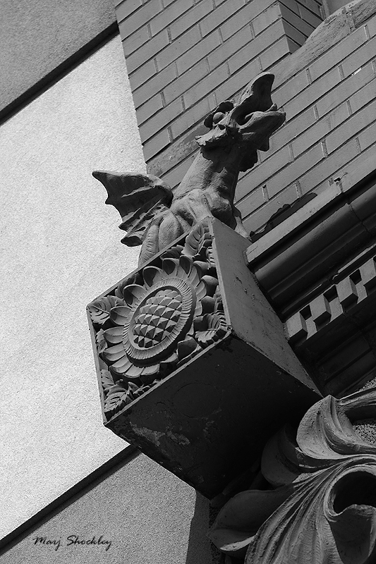 IMG_5151bw web.jpg