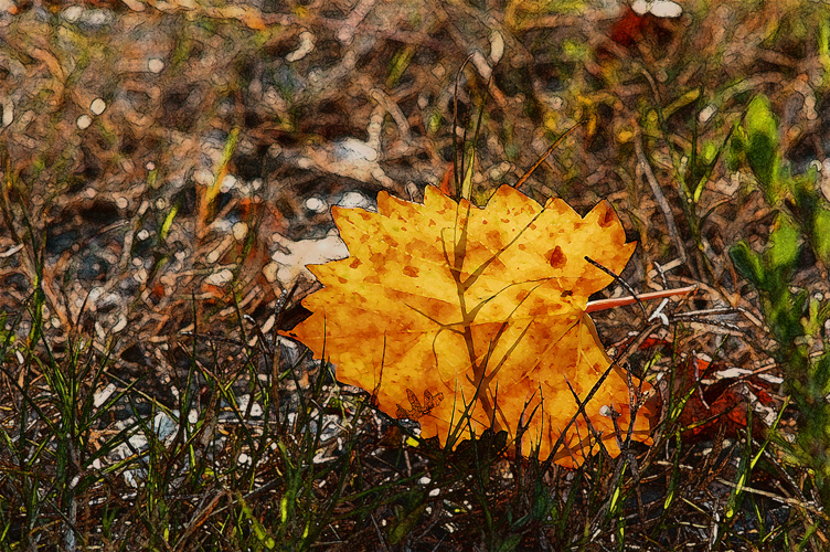 DSC_8760sm.jpg