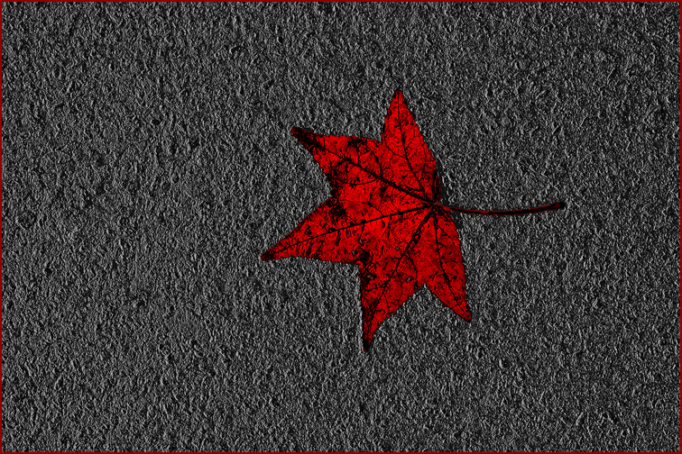 DSC_9122.21sm.jpg