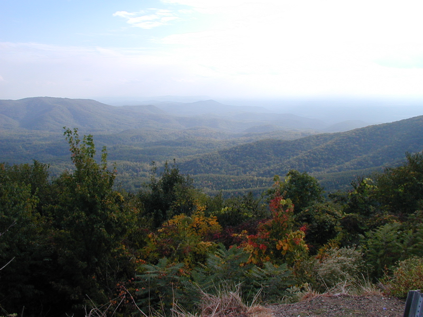 P1010057.JPG