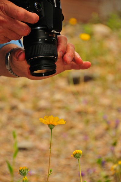 Photographer at the Visitor Center