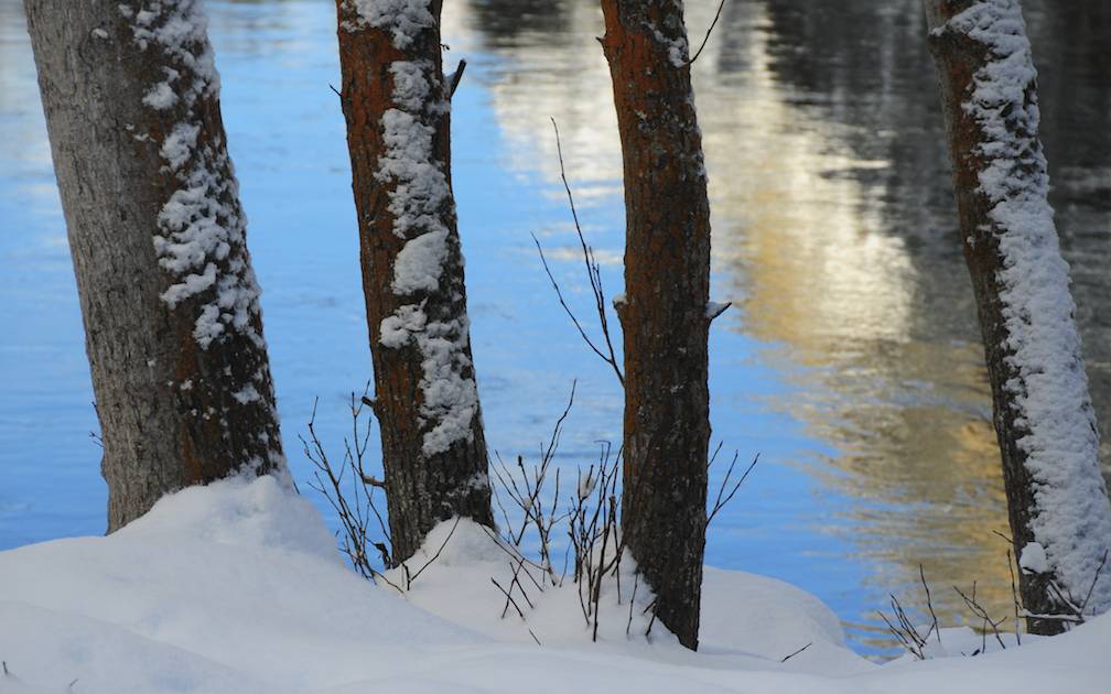 Along the Merced River