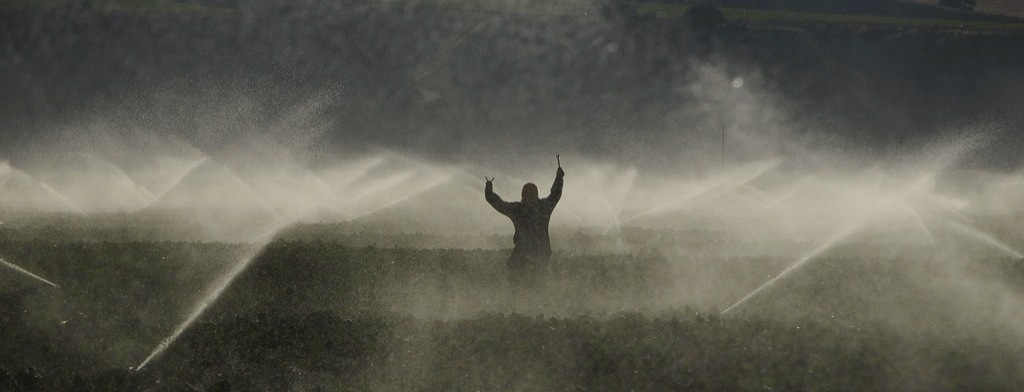 Wet Field Hand